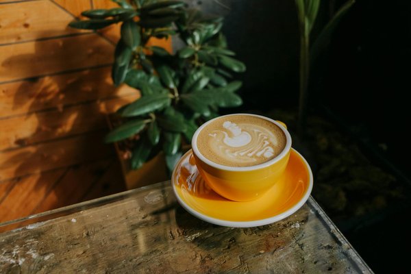 La psychologie derrière le choix du lifestyle flexitarien